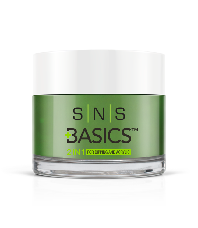 SNS#P024    Basics  2 in 1 Acrylic & Dipping Powder