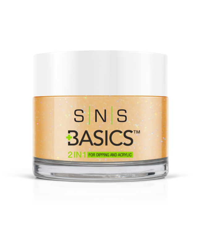SNS#P034   Basics  2 in 1 Acrylic & Dipping Powder