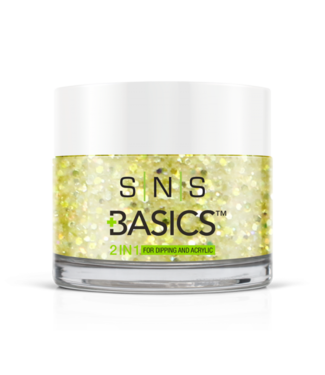 SNS#P039  Basics  2 in 1 Acrylic & Dipping Powder