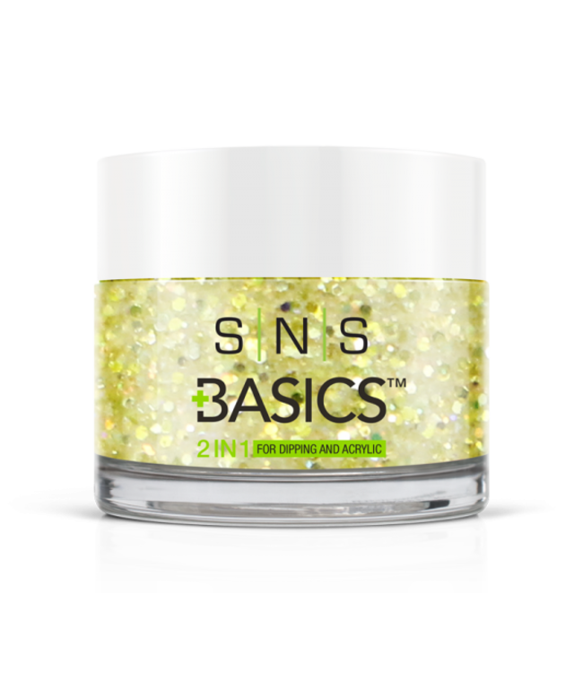SNS#P039  Basics  2 in 1 Acrylic & Dipping Powder