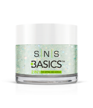 SNS#P050    Basics  2 in 1 Acrylic & Dipping Powder