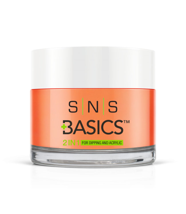 SNS#P060   Basics  2 in 1 Acrylic & Dipping Powder