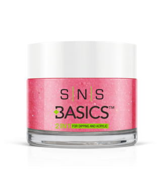 SNS#P062   Basics  2 in 1 Acrylic & Dipping Powder
