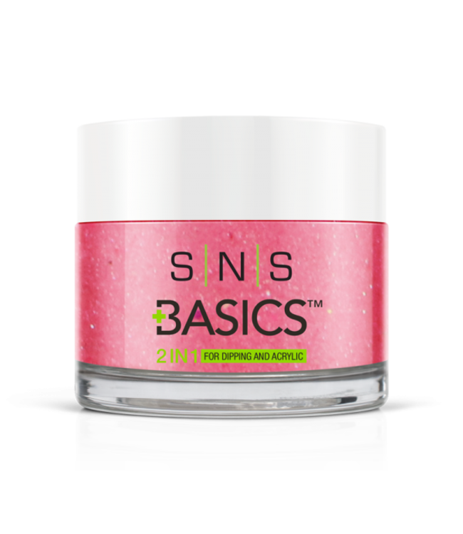 SNS#P062   Basics  2 in 1 Acrylic & Dipping Powder