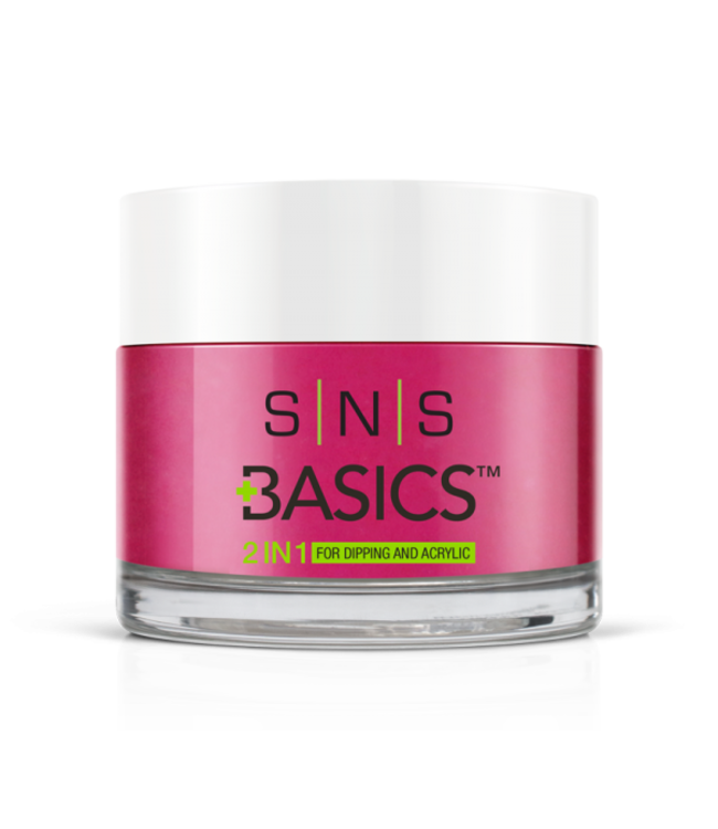 SNS#P070   Basics  2 in 1 Acrylic & Dipping Powder