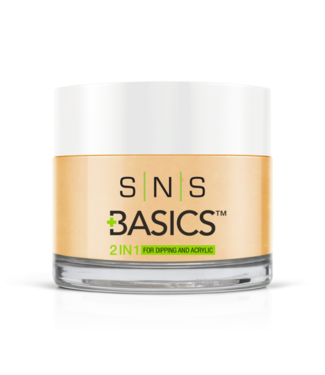 SNS#P079 Basics 2 in 1 Acrylic & Dipping Powder