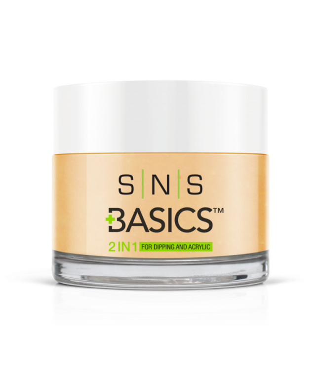 SNS#P079 Basics 2 in 1 Acrylic & Dipping Powder
