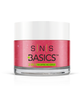 SNS#P080  Basics 2 in 1 Acrylic & Dipping Powder