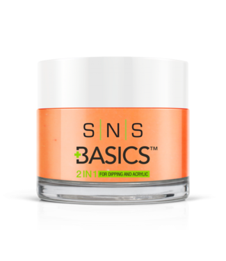SNS#P083  Basics 2 in 1 Acrylic & Dipping Powder