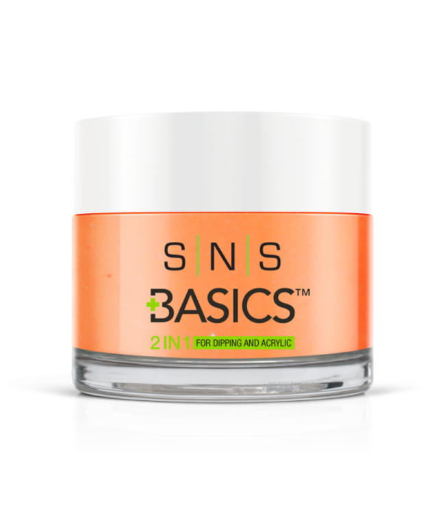 SNS#P083  Basics 2 in 1 Acrylic & Dipping Powder