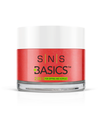 SNS#P093  Basics 2 in 1 Acrylic & Dipping Powder