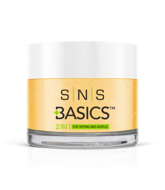 SNS#P097  Basics 2 in 1 Acrylic & Dipping Powder