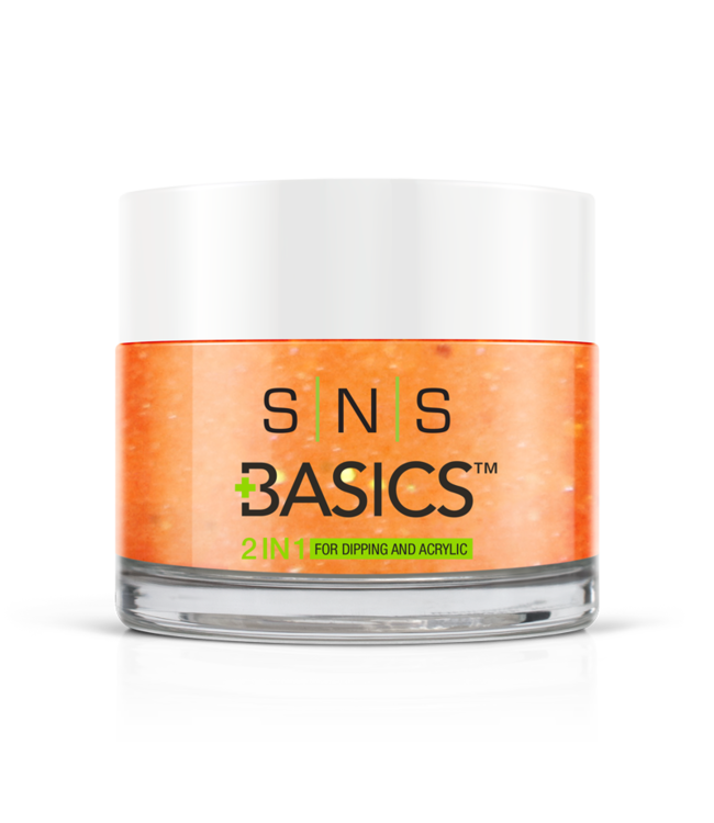 SNS#P099  Basics 2 in 1 Acrylic & Dipping Powder