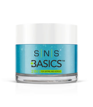 SNS#P108   Basics 2 in 1 Acrylic & Dipping Powder