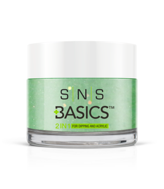 SNS#P111   Basics 2 in 1 Acrylic & Dipping Powder