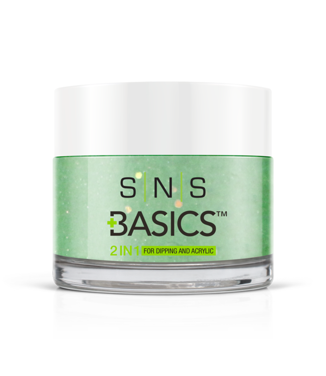 SNS#P111   Basics 2 in 1 Acrylic & Dipping Powder