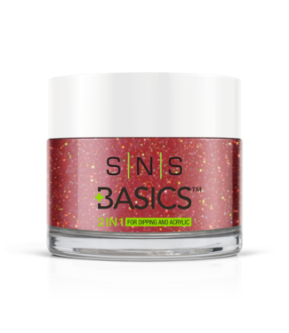 SNS#P113   Basics 2 in 1 Acrylic & Dipping Powder