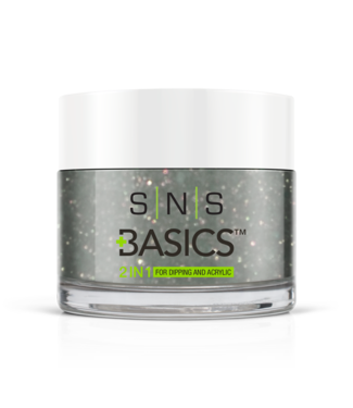 SNS#P123    Basics 2 in 1 Acrylic & Dipping Powder