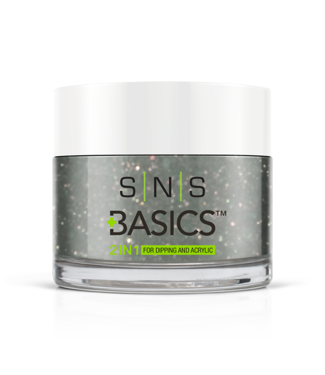 SNS#P123    Basics 2 in 1 Acrylic & Dipping Powder