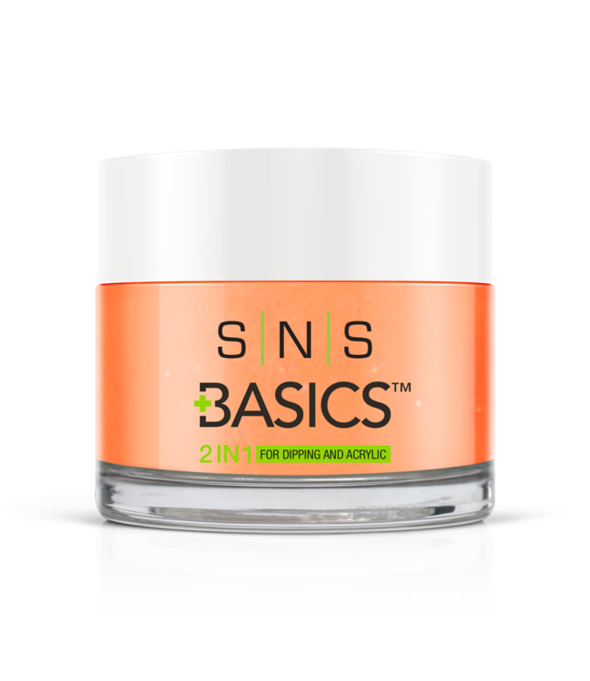 SNS#P133    Basics 2 in 1 Acrylic & Dipping Powder