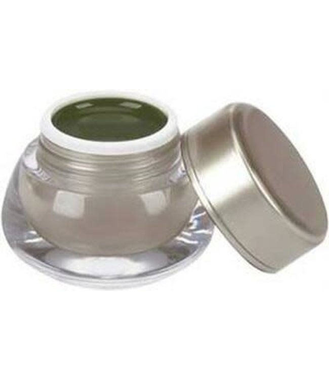 Axxium Soak-Off Gel Lacquer - Here Today Aragon Tomorrow