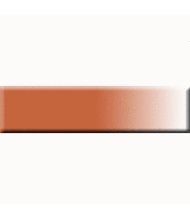 BADGER #AP753 Raw Sienna - 1.oz