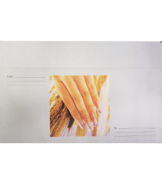 Certificate Envelopes 50ct.#NAC209