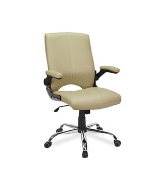 Chair & Stools AV Client Chair