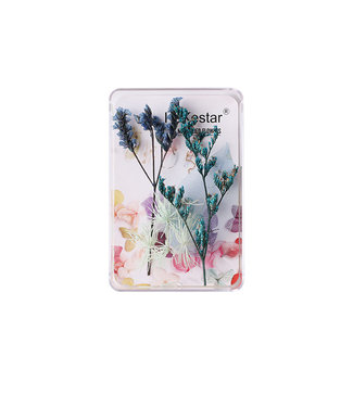 Dry Flowers Nail Art Decoration Box  #DF004