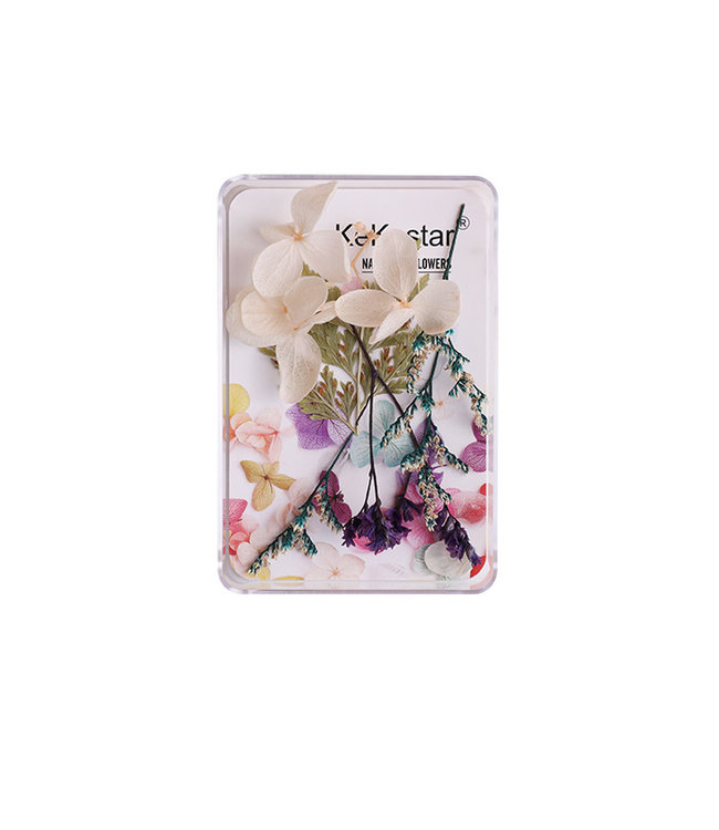 Dry Flowers Nail Art Decoration Box  #DF006