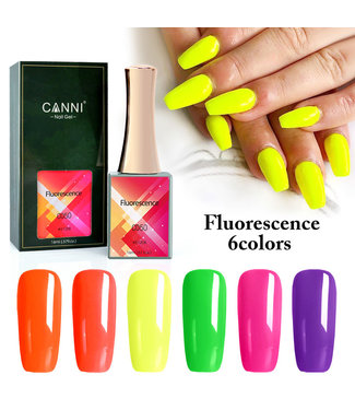 CN  Fluorescence  6pcs