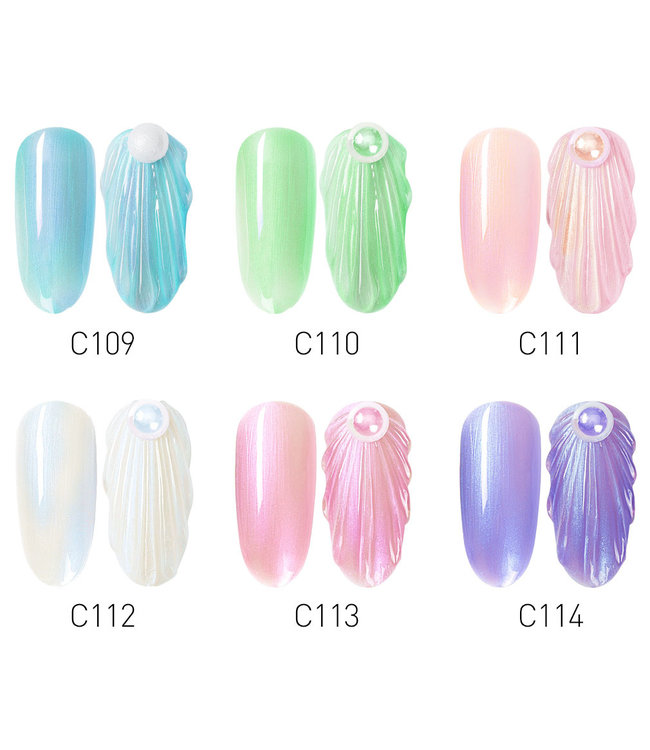 NC  Shell series  Set 6pcs