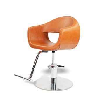 Hair Salon Styling Chair With A58 Pump