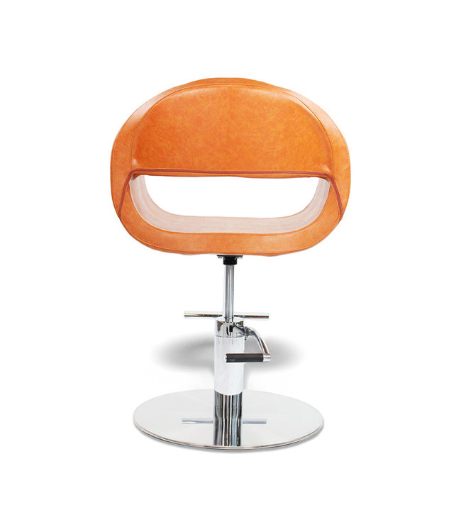 Hair Salon Styling Chair With A58 Pump