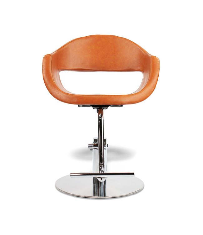 Hair Salon Styling Chair With A58 Pump
