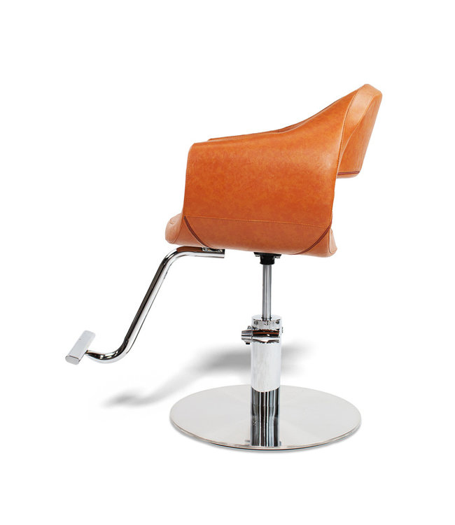 Hair Salon Styling Chair With A58 Pump