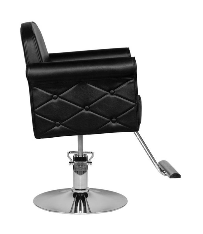 Hair Salon Raelynn Styling Chair