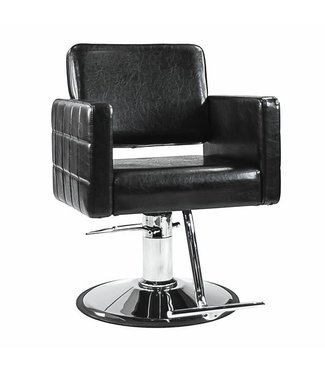 Hair Salon Styling Chair A13