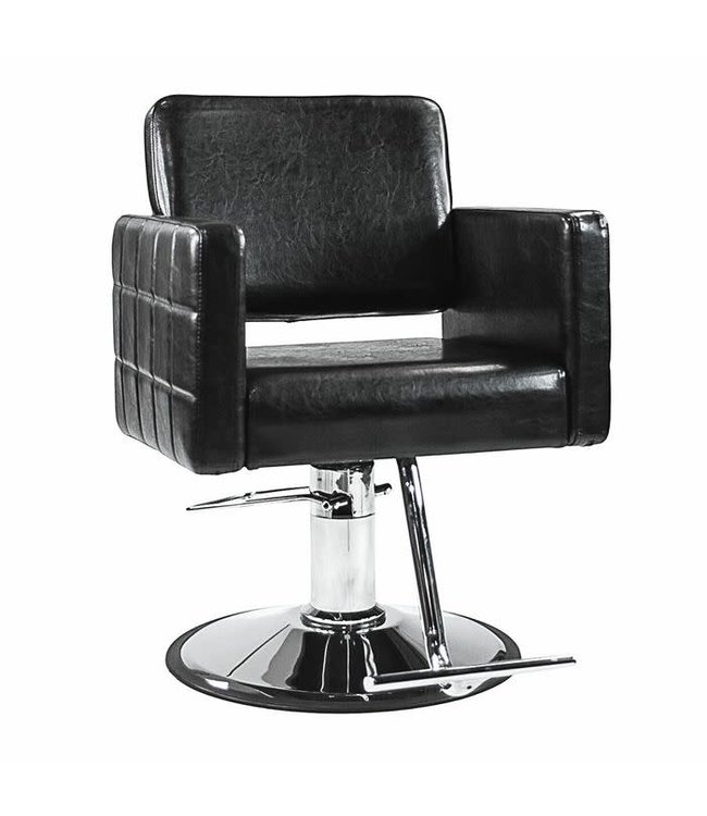 Hair Salon Styling Chair A13