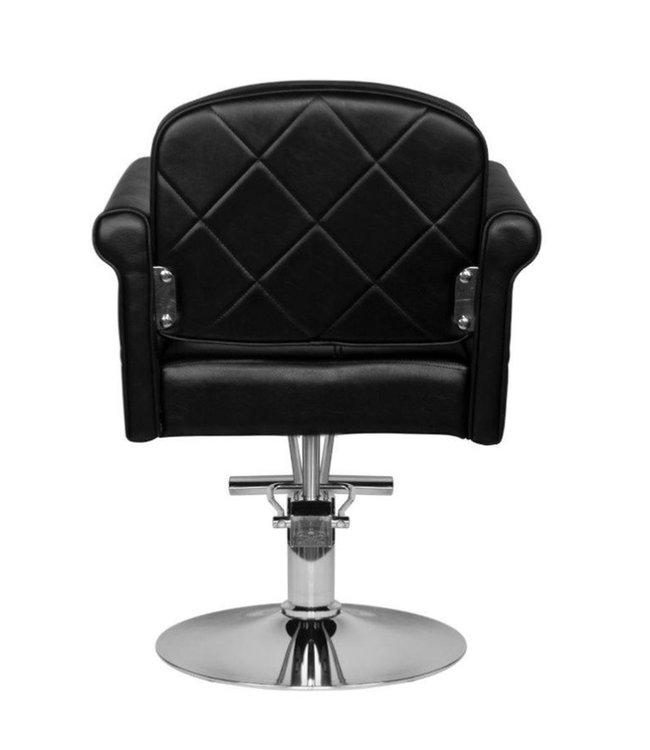 Hair Salon Raelynn Styling Chair