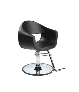 Hair Salon Styling Salon Chair with A12