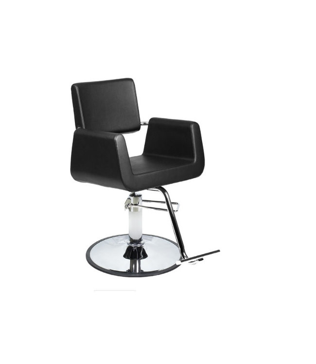 Hair Salon Styling Chair w/ A12 Pump (Black)