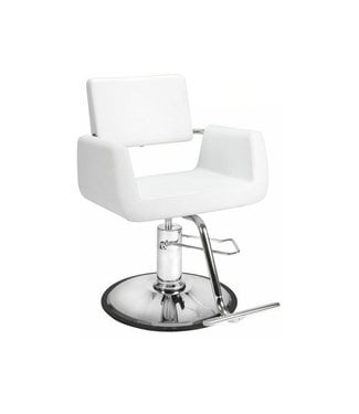 Hair Salon Styling Chair w/ A12 Pump (White)