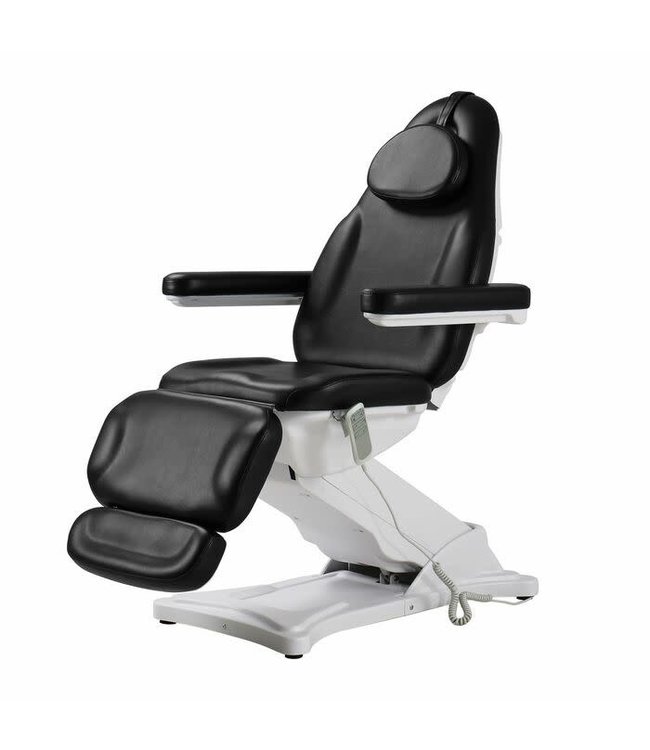 Skin Care Equipment Electric Facial &  Massage Bed