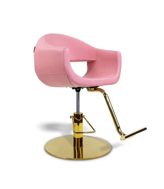 Hair Salon Styling Chair A58  (Pink)