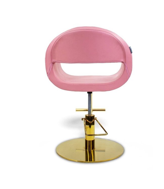 Hair Salon Styling Chair A58  (Pink)