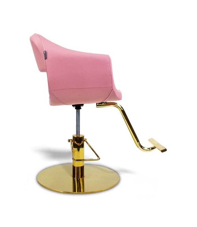 Hair Salon Styling Chair A58  (Pink)