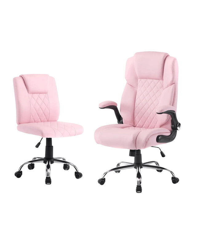 Chair & Stools GS Client & Technician Chair  Set