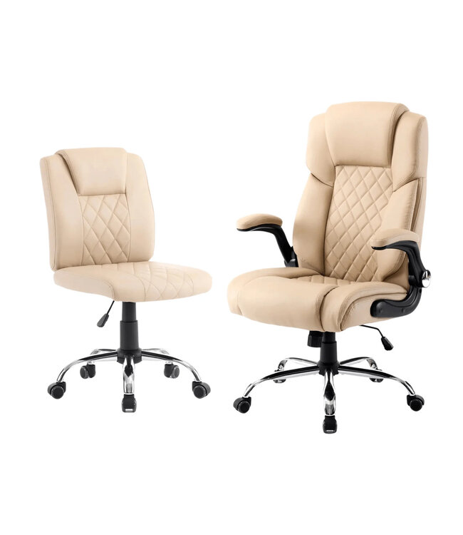 Chair & Stools GS Client & Technician Chair  Set