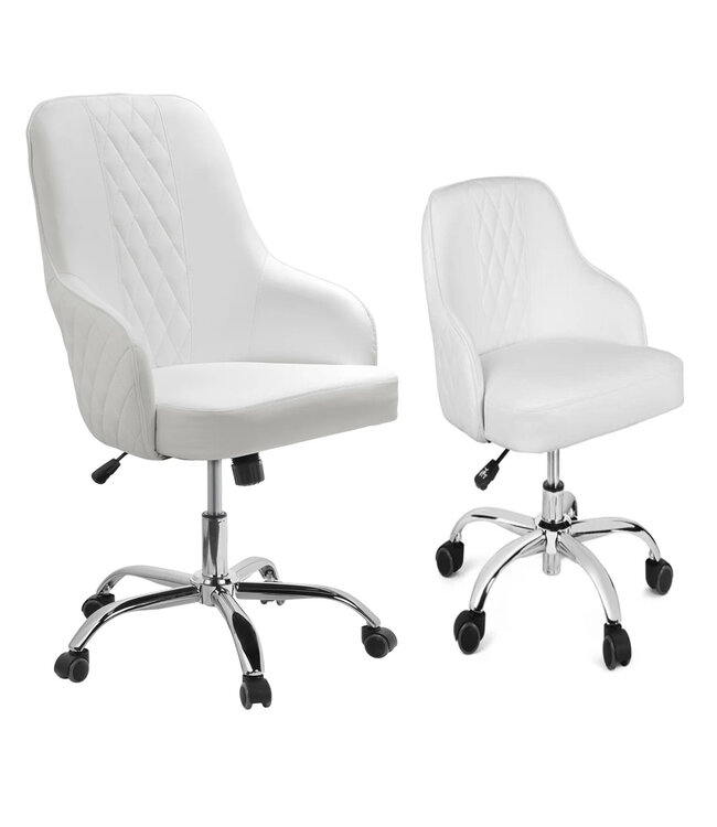 Chair & Stools AYJC  Client & Technician Chair Set